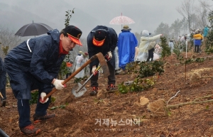거제 송진포 국유지 동백나무 3000여 그루 식재