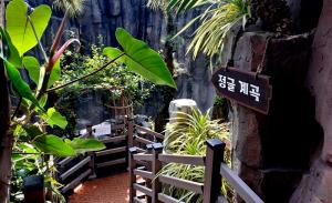 거제식물원 ‘아는 만큼 즐긴다’ “정글돔은 다 계획이 있었구나”