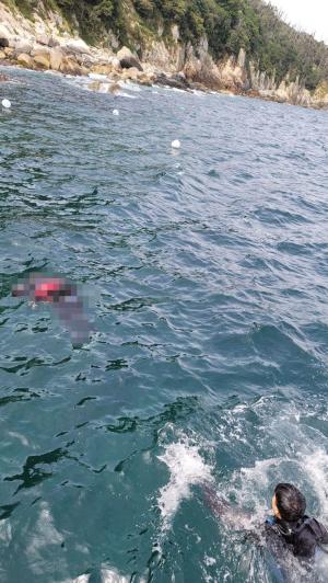통영해경, 한산면 가왕도 인근 해상 익수자 사망