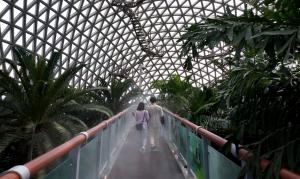 ‘열대우림 속 물안개’ 거제식물원 쿨링포그 가동