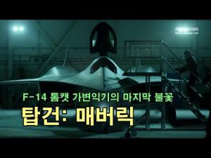 [영상] 탑건 매버릭 F-14 톰캣 가변익기의 마지막 불꽃